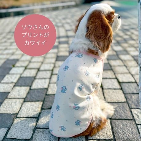 ゾウさんと星プリント ベビーネックTシャツ