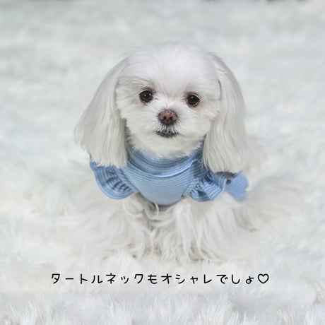 フリルいっぱいロンパース