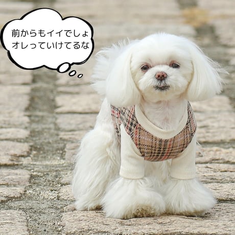SHUBEANSオリジナル背中開きジャガードチェックカーディガン