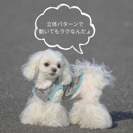 【新作5%OFF】SHUBEANSオリジナル バックオープントップス ロボットプリント