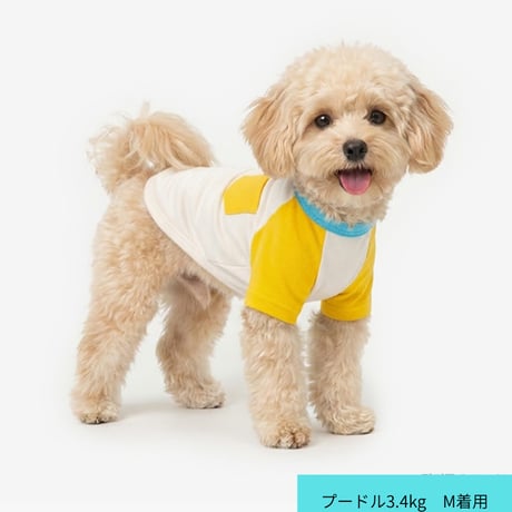 TUSTUS カラーブロックラグランTシャツ