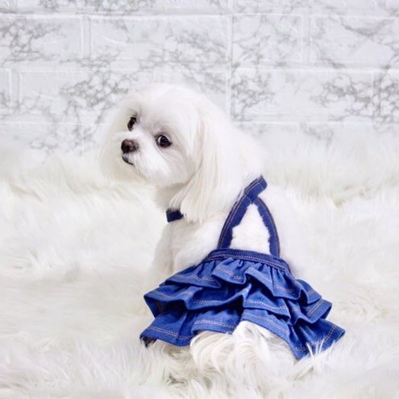 ニットデニムフリルスカート | shubeans_petstyle STORE ニットデニムフリルスカート | shubeans_petstyle STORE