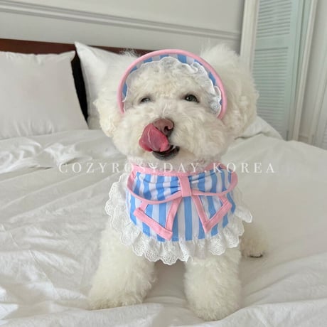 BLUE VANNIRA DOGBIB