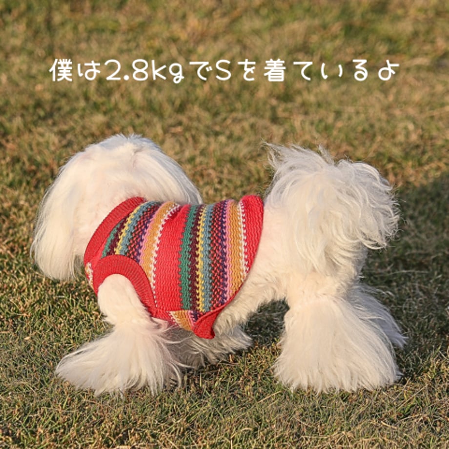 68ee74b6a06e096a2aa9f5aa