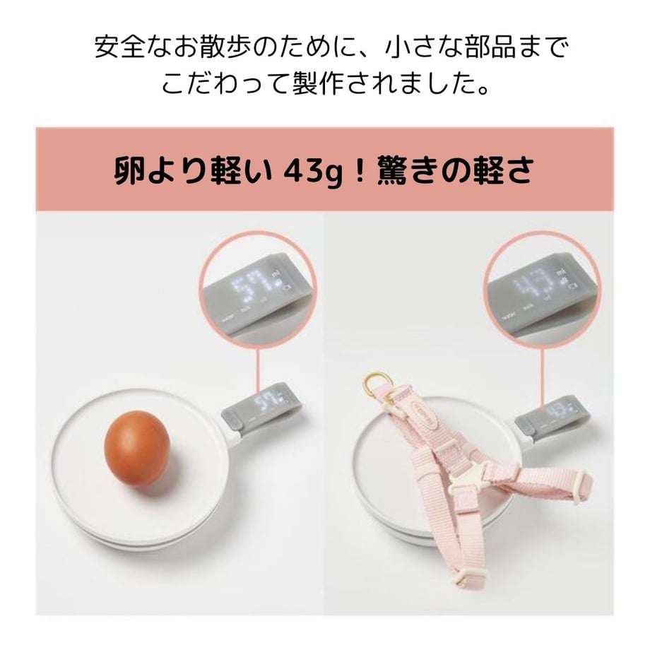 65f4468e24c2f424c5b2492a