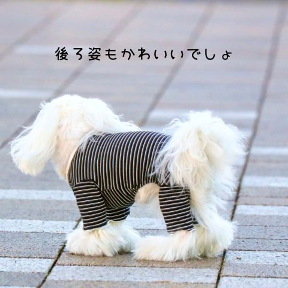 68fb32bb5816573845e00da5