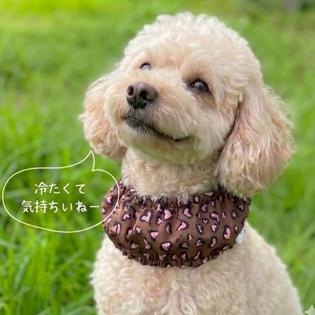 SHUBEANSオリジナル　クールスヌード保冷剤付き