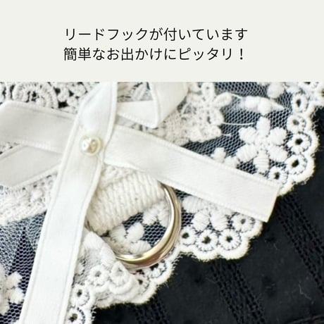 ブラック&ホワイトレース ハーネス