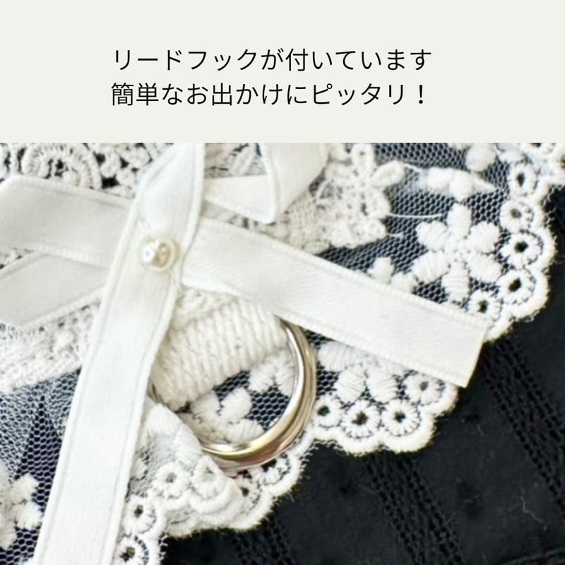ブラック&ホワイトレース ハーネス | shubeans_petstyle STORE
