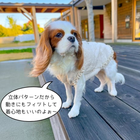 SHUBEANSオリジナル バックオープンハート柄フリルトップス