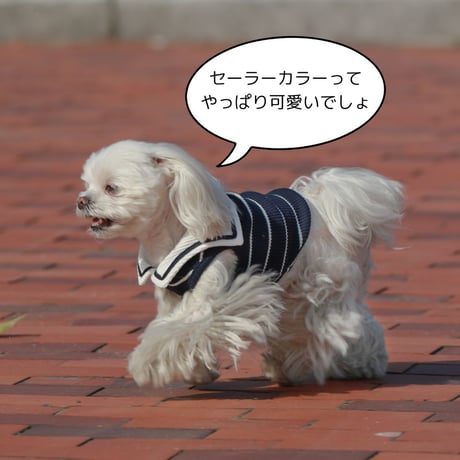 セーラーカラースリーブレスTシャツ
