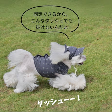 SHUBEANSオリジナル 小花柄 リボン付きキャップ
