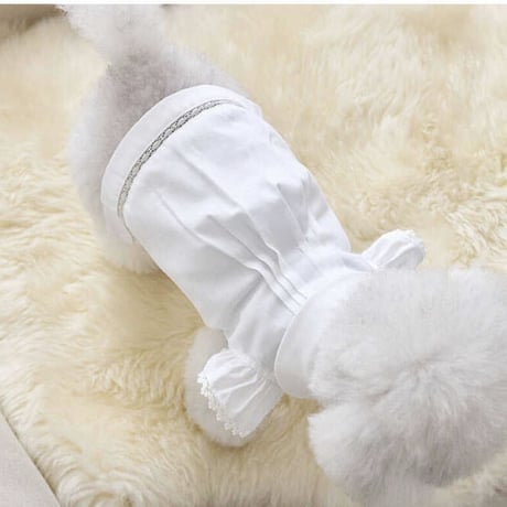 Angel Blouse （White）
