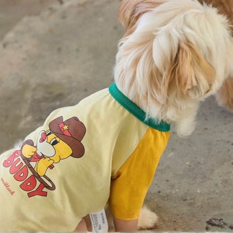 picoラグランプリントTシャツ