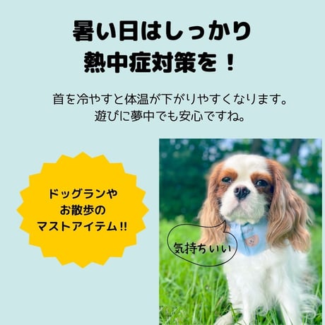 COOLスヌード