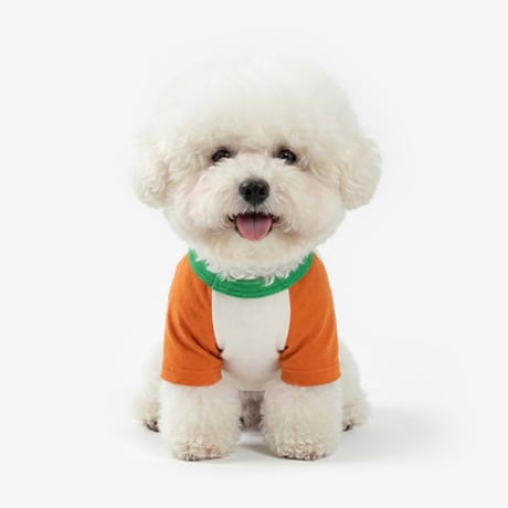 TUSTUS カラーブロックラグランTシャツ