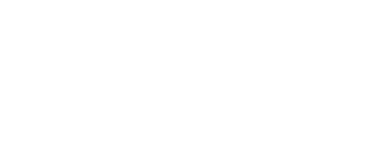 AMPHIS spi