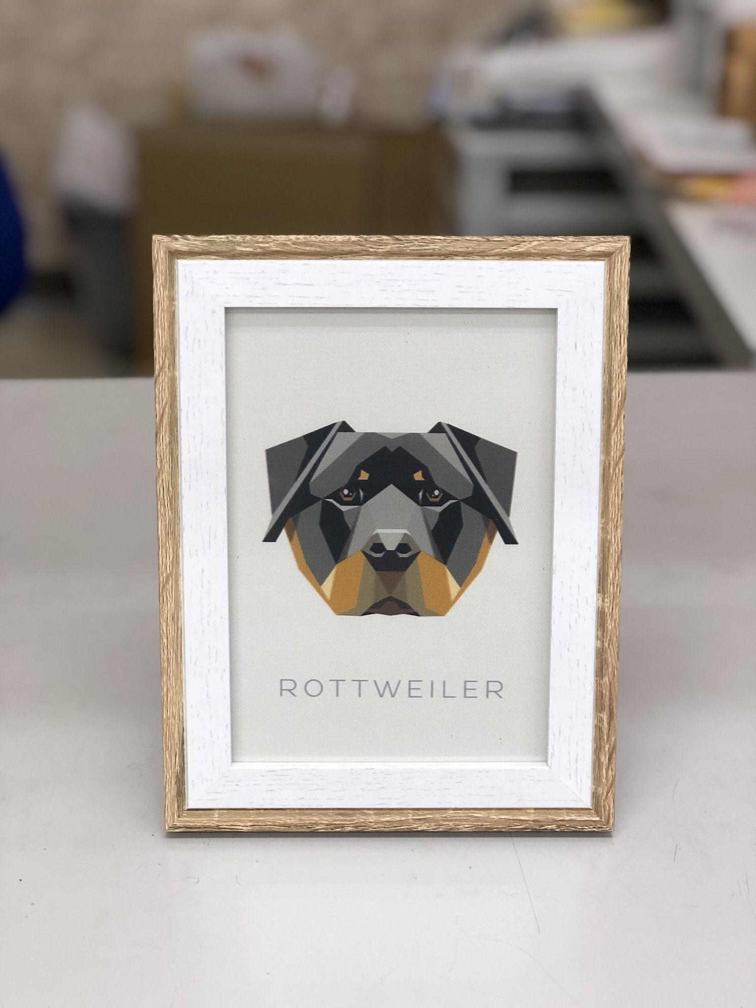 犬義　CASSINI CANVAS ART　キャンバスアート　新品未使用 犬のキャンバスアートフレームL2判サイズ | chirol-dogoods STORE
