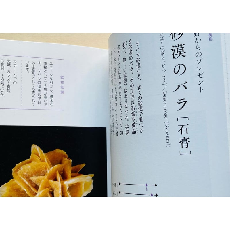 ときめく図鑑Pokke! ときめく鉱物図鑑 | わおん書房ONLINE SHOP