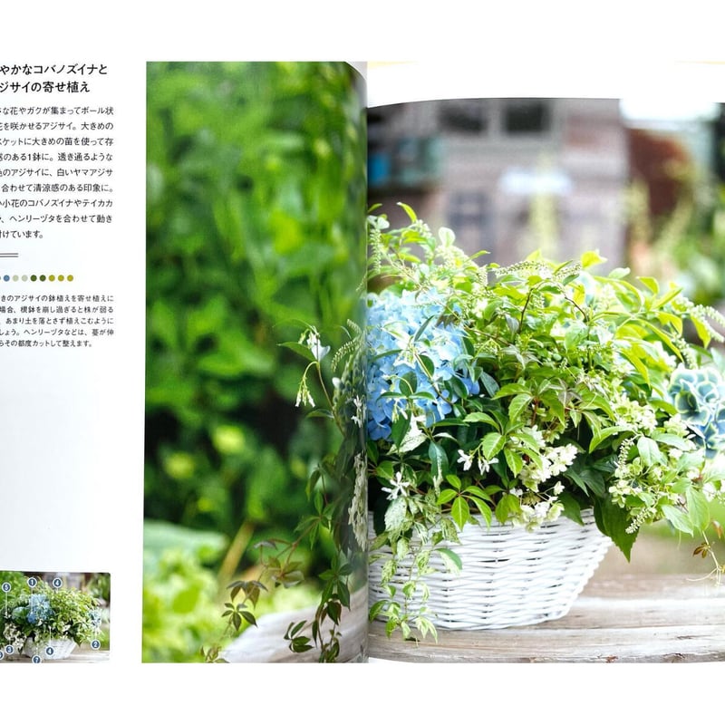 本 植物図鑑 フローラ : gardening