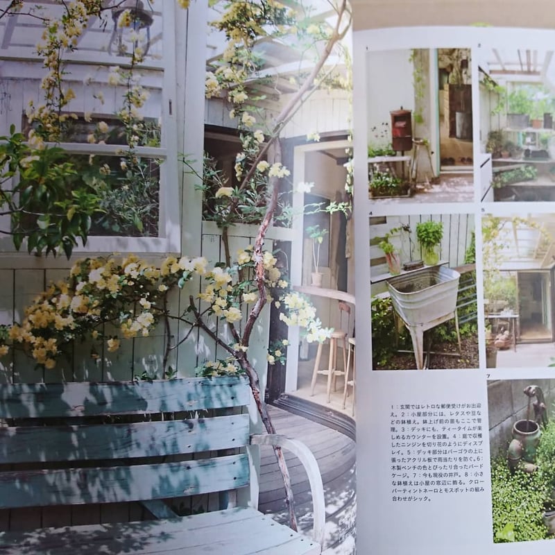 カルチュラル・ガーデン 育つままにほったらかしの庭づくり | わおん