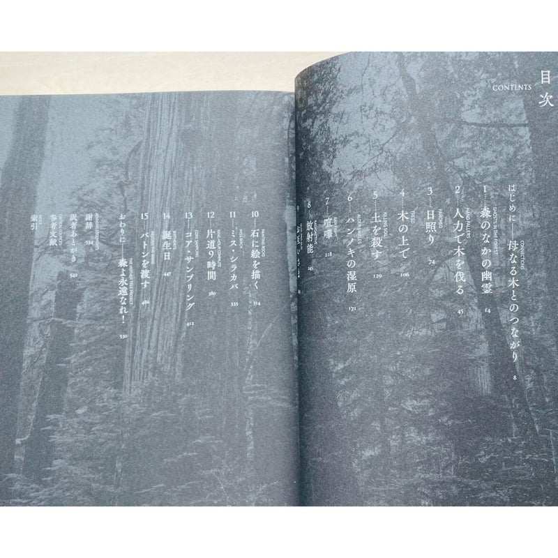 マザーツリー 森に隠された「知性」をめぐる冒険 | わおん書房ONLINE SHOP