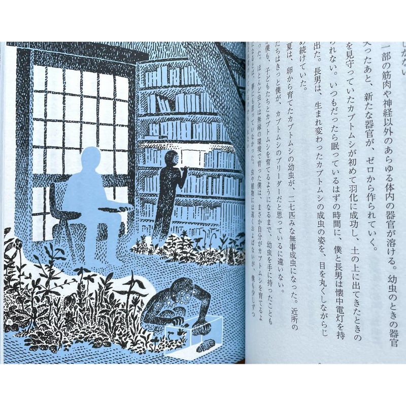 センス・オブ・ワンダー | わおん書房ONLINE SHOP センス・オブ・ワンダー | わおん書房ONLINE SHOP