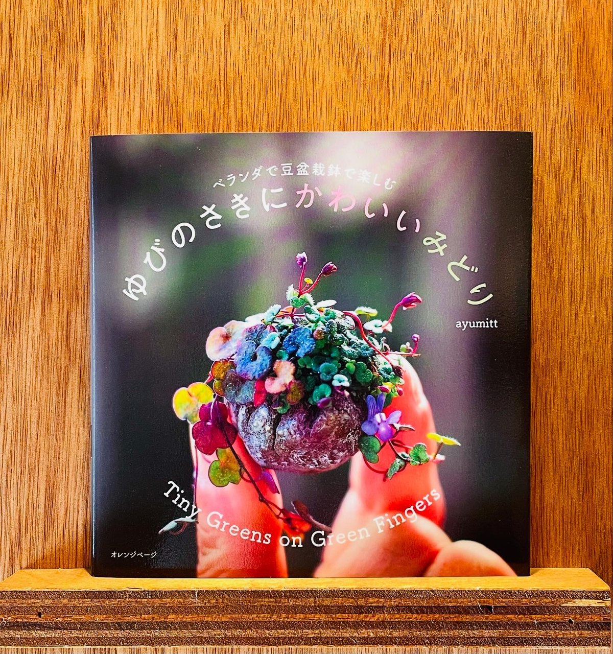 焙り出し　みつ豆鉢 焙り出し みつ豆鉢