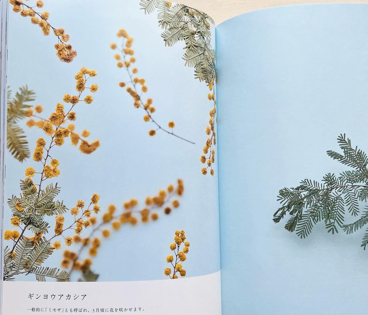 押し花 書籍8冊セット 押し花 書籍8冊セット