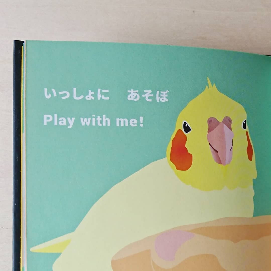 かわいい ことりちゃん（サイン入り） | わおん書房ONLINE SHOP