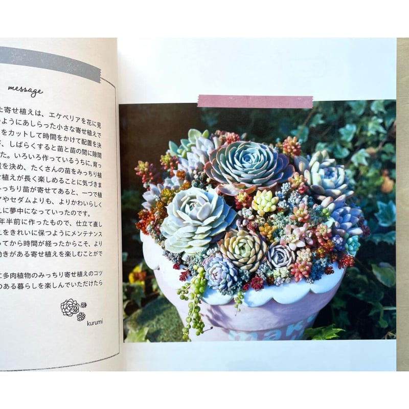 エケベリアやセダムで楽しむ 多肉植物のみっちり寄せ植え | わ