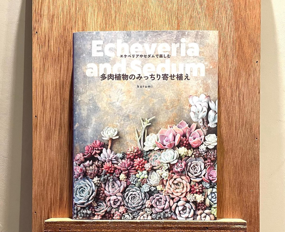 エケベリアやセダムで楽しむ 多肉植物のみっちり寄せ植え | わ