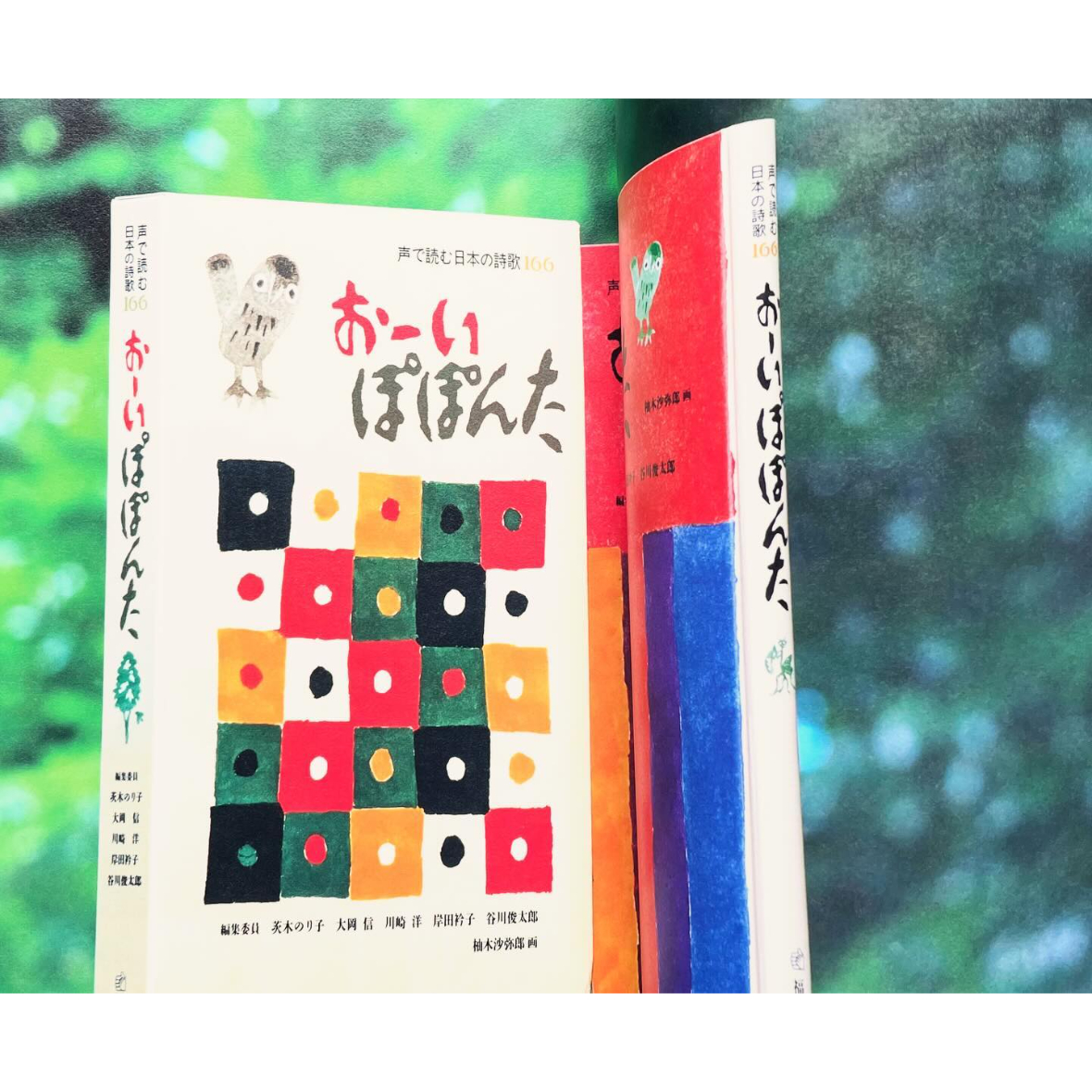 おーい ぽぽんた 声で読む日本の詩歌166 おーい ぽぽんた おーい ぽぽんた 声で読む日本の詩歌166 おーい ぽぽんた