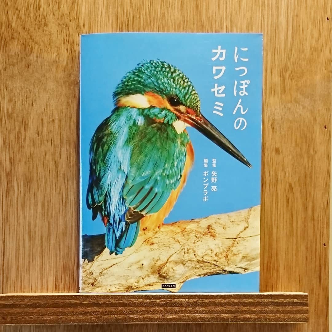 にっぽんのカワセミ | わおん書房ONLINE SHOP