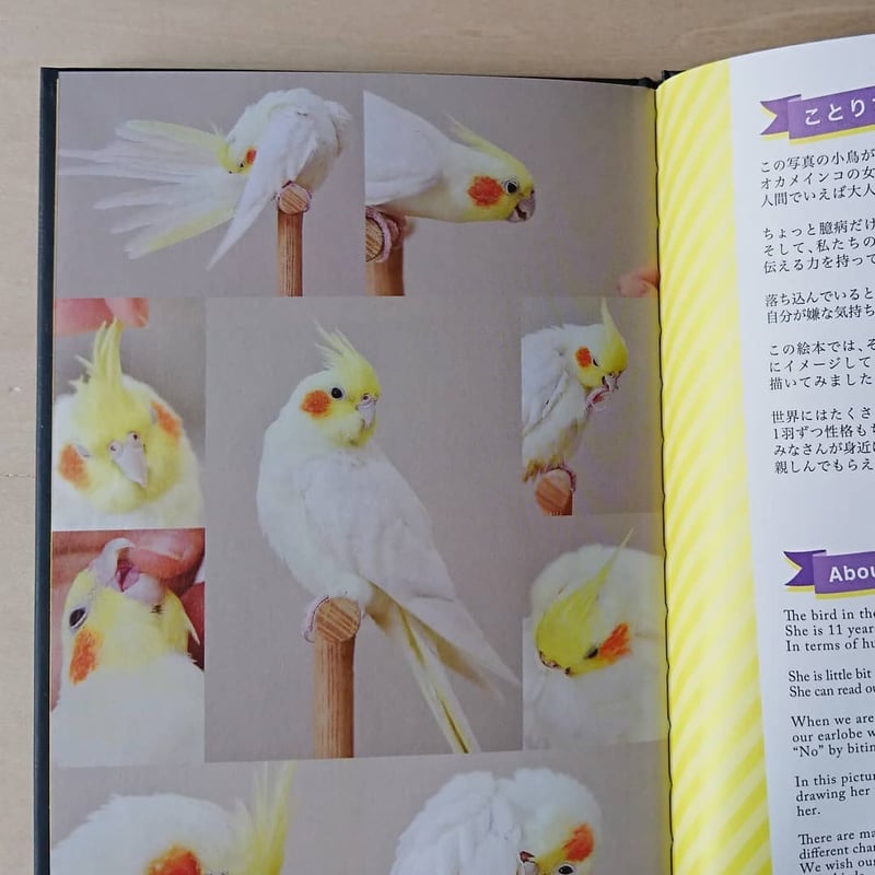 【misen2014 さま】* vintage ❀ 小さなかわいい コトリちゃん misen2014 さま】* vintage ❀ 小さなかわいい コトリちゃん 翠