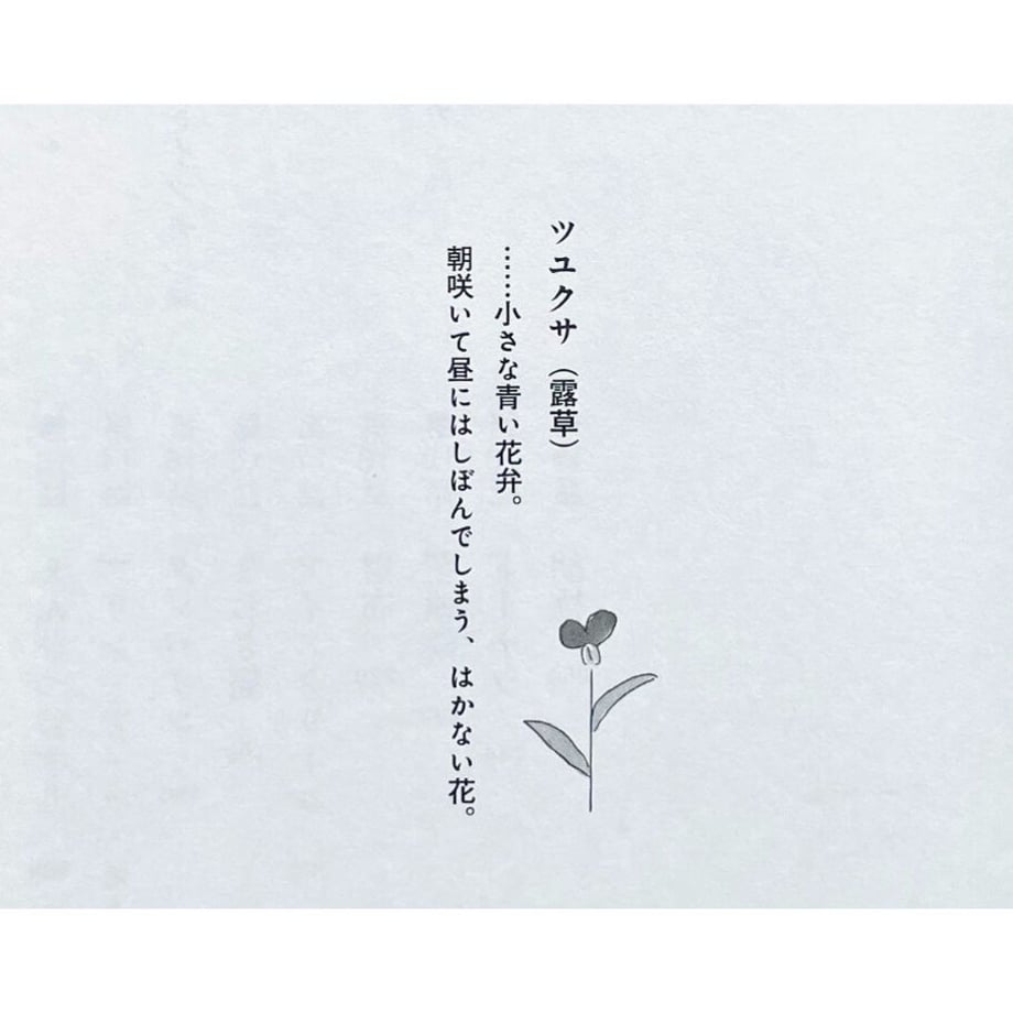 64a7cbf97110b2002fdd8343