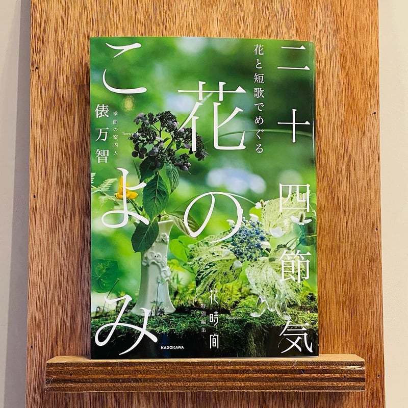 草木花 歳時記 「四季・花ごよみ」（講談社）大判 全５巻セット 草木花 歳時記 「四季・花ごよみ」（講談社）大判 全5巻セット