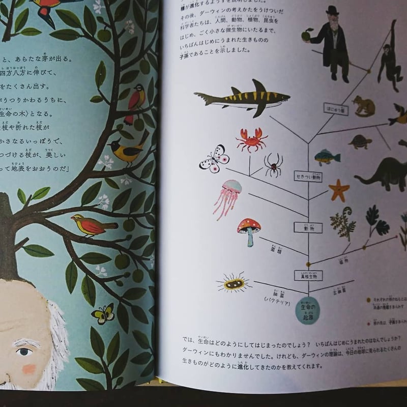ダーウィンの「種の起源」 はじめての進化論 Amazon.co.jp: ダーウィンの「種の起源」: はじめての進化論