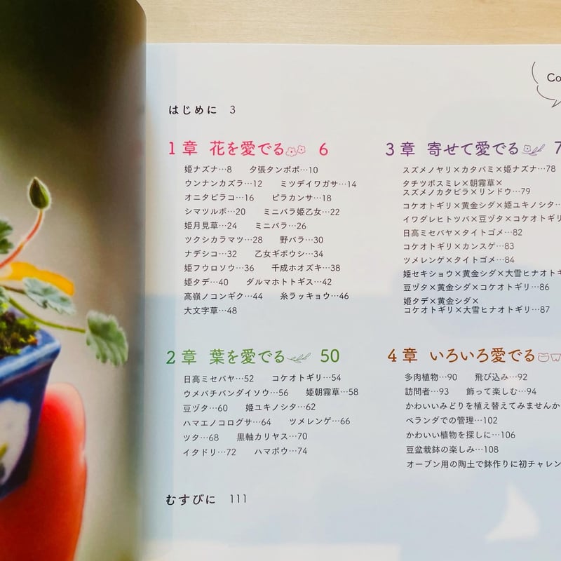 焙り出し　みつ豆鉢 ベランダで豆盆栽鉢で楽しむ ゆびのさきにかわいいみどり | わ