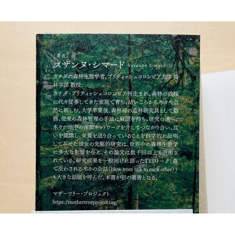 マザーツリー 森に隠された「知性」をめぐる冒険 | わおん書房ONLINE SHOP
