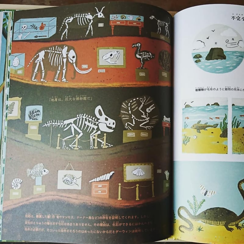 ダーウィンの「種の起源」~はじめての進化論~ | わおん書房 ダーウィンの「種の起源」~はじめての進化論~ | わおん書房