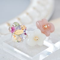 お花アソート｜トロピカル
