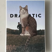 DRA猫MATIC シール
