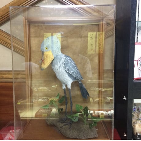 “中華満腹見聞録” ハシビロコウ長袖 灰 (吉田屋本店)