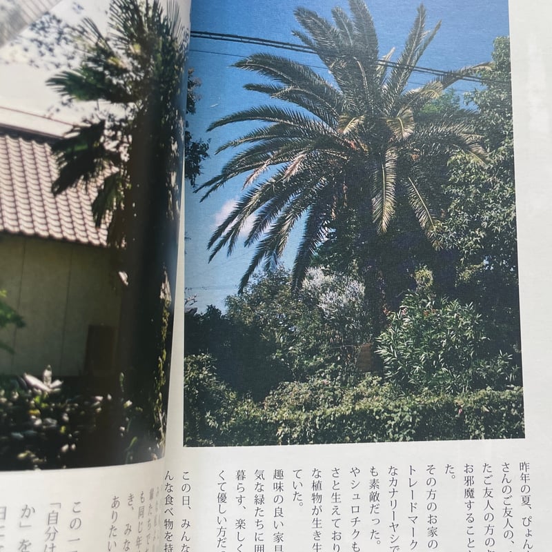 シュロの木　シュロ　3本セット 🌴『パルム書房のヤシ総合誌 シュロ3』🌴 | 空論雑貨店
