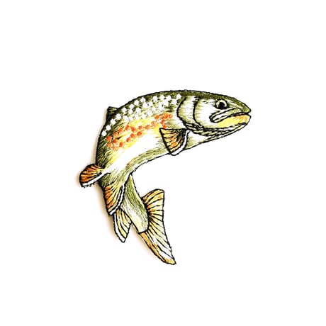 アイロンワッペン【ニジマス 川魚 fish】アメリカ 刺繍
