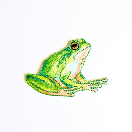 アイロンワッペン【アマガエル 蛙 frog】アメリカ
