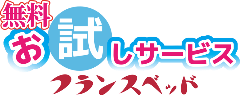 フランスベッド サナティオ フランスベッド サナティオ