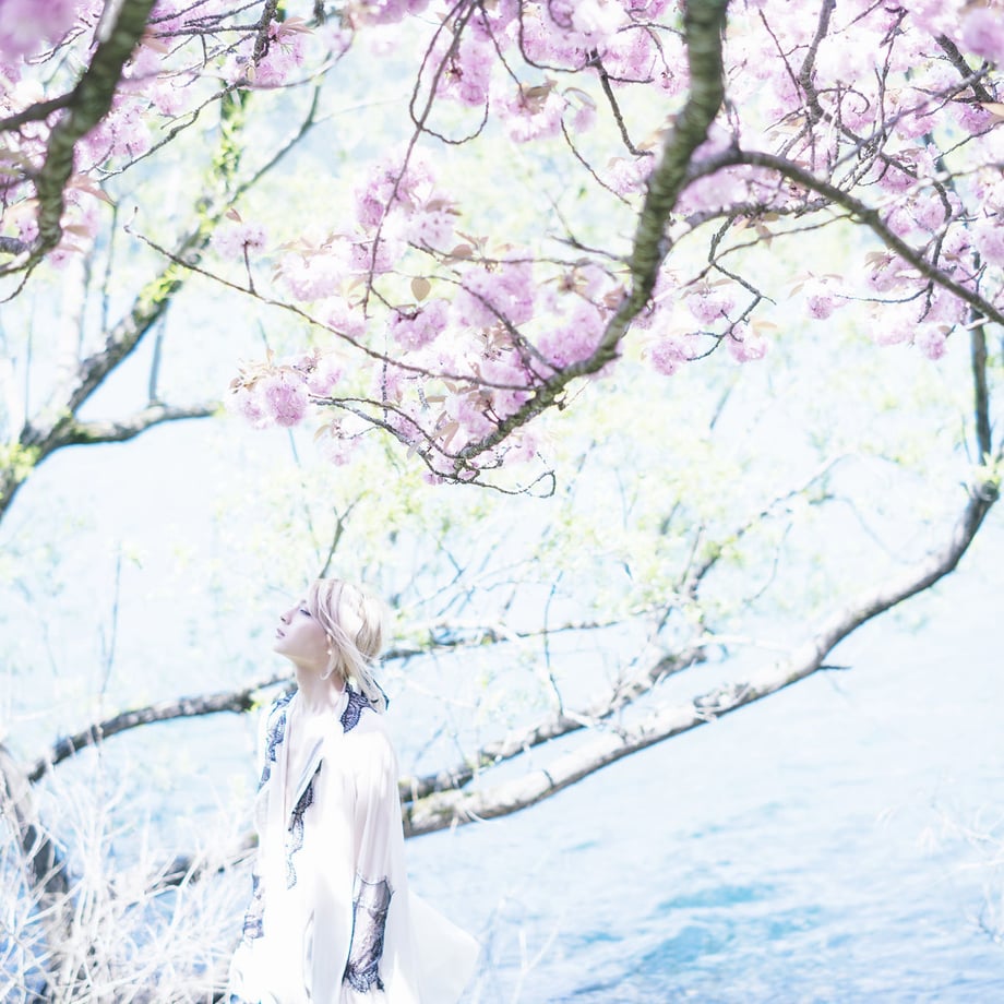 5f9bba6872eb463a89b610d6