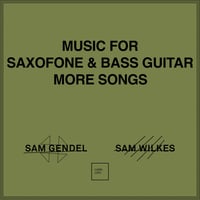 SAM GENDEL & SAM WILKES / Music For Saxofone & Bass Guitar More Songs（CD）